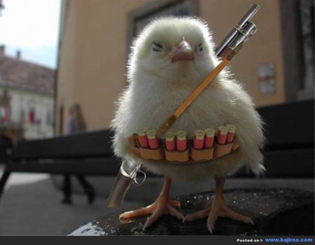 LAAT DE STRIJD BEGINNEN!!